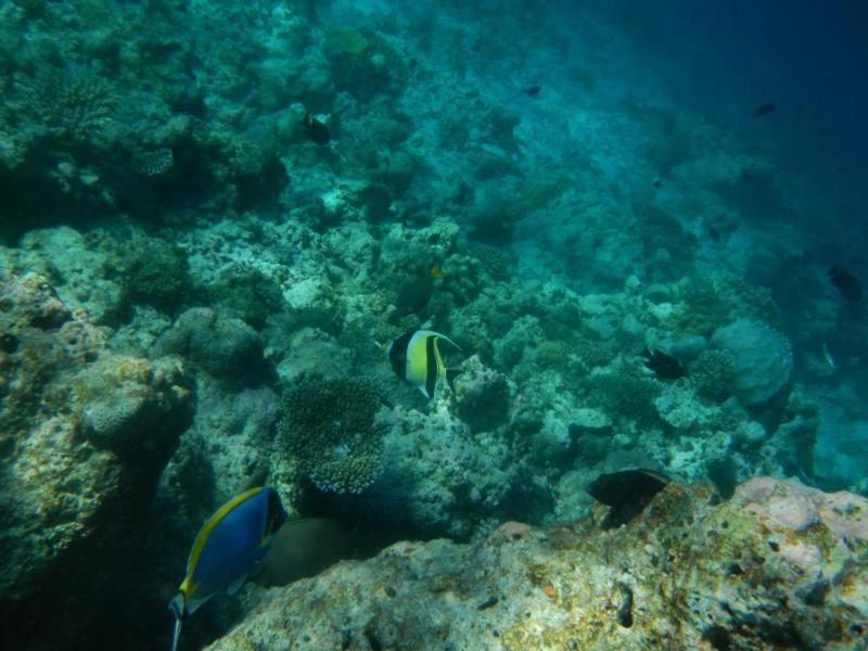 Arena Lodge Sky Maafushi Eksteriør bilde