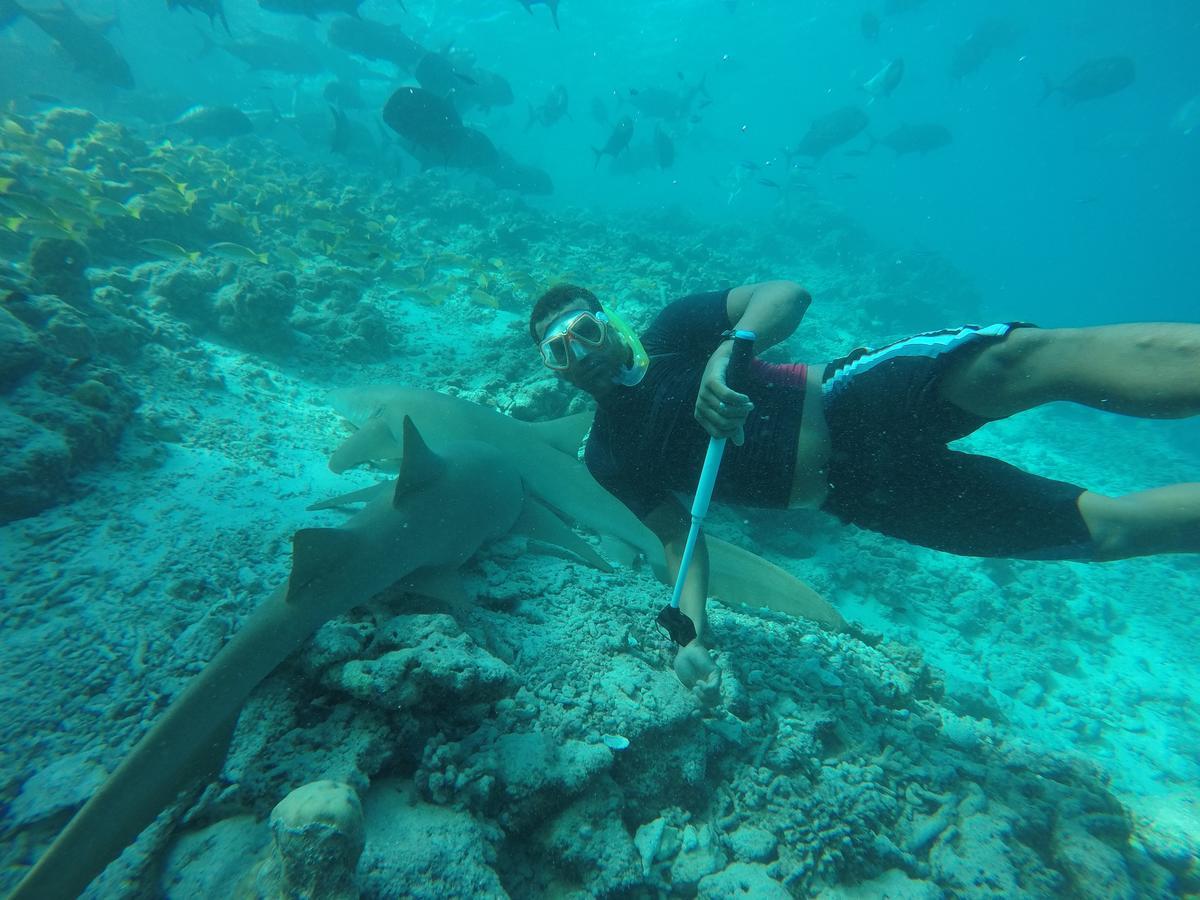 Arena Lodge Sky Maafushi Eksteriør bilde